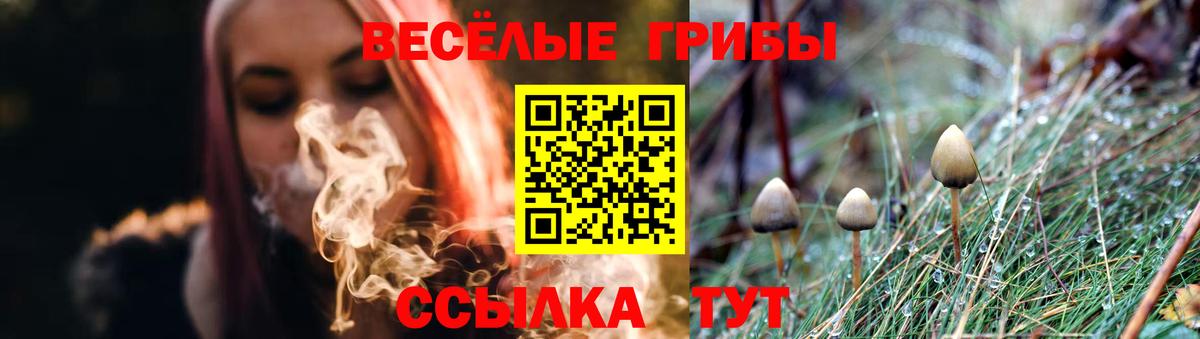 где купить наркоту  Вход с VPN  Галлюциногенные грибы Cubensis  Находка  Псилоцибиновые грибы MAGIC MUSHROOMS 